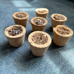 White Cup Sambrani Filling